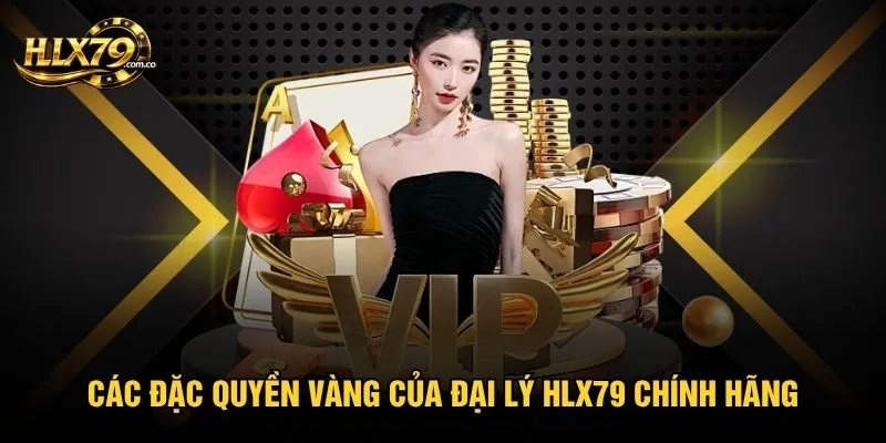 Các đặc quyền vàng của đại lý HLX79 chính hãng Các đặc quyền vàng của đại lý HLX79 chính hãng