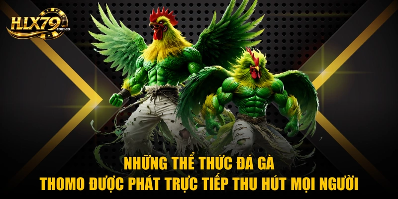 Những thể thức đá gà Thomo được phát trực tiếp thu hút mọi người Những thể thức đá gà Thomo được phát trực tiếp thu hút mọi người