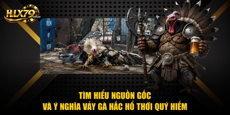Tìm hiểu nguồn gốc và ý nghĩa vảy gà hắc hổ thới quý hiếm Tìm hiểu nguồn gốc và ý nghĩa vảy gà hắc hổ thới quý hiếm